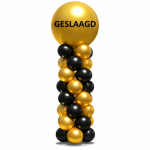 ballonnenpilaar diplomering