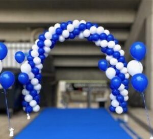 ballonnenboog hoogeveen